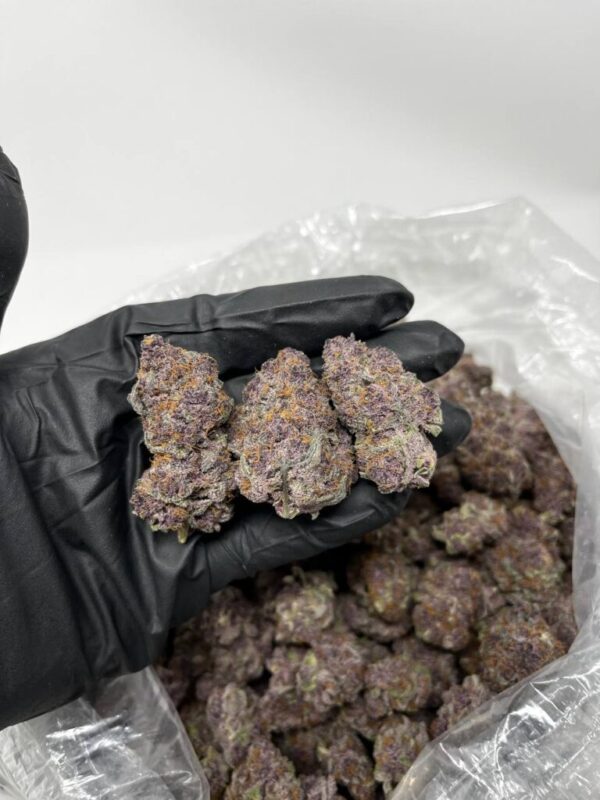 Buy Purple Haze Weed Strain - Image 4