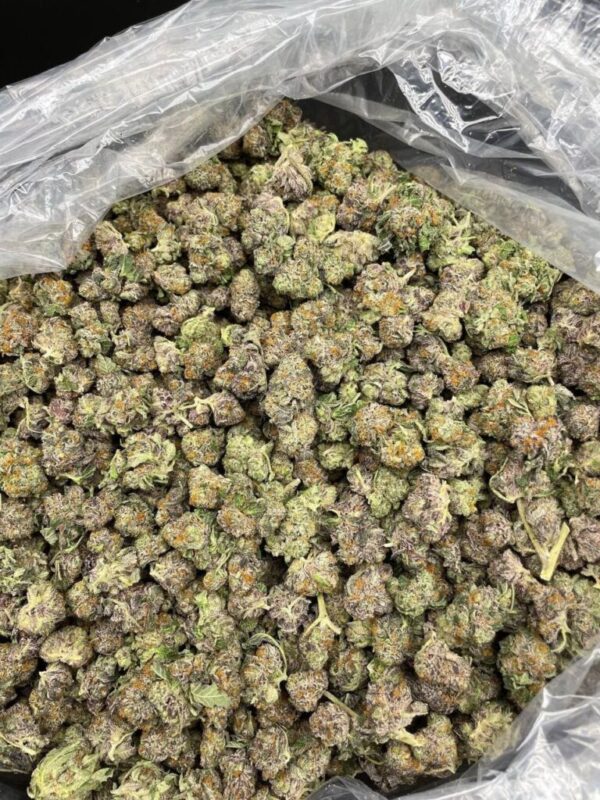 Buy Purple Haze Weed Strain - Image 2