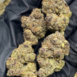 Buy Jack Herer Strain Online