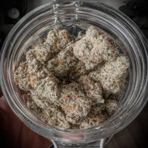 Black Cherry Punch
